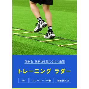 ラダー トレーニング 6m 収納袋付き マーカ...の詳細画像1