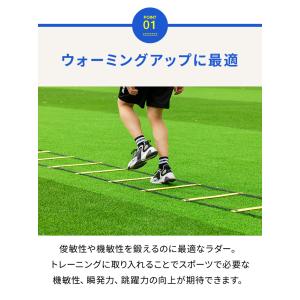 ラダー トレーニング 6m 収納袋付き マーカ...の詳細画像3