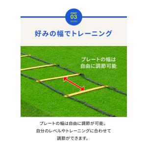 ラダー トレーニング 6m 収納袋付き マーカ...の詳細画像5