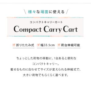台車 折りたたみ コンパクト 軽量 耐荷重17...の詳細画像3