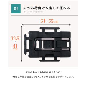 台車 折りたたみ コンパクト 軽量 耐荷重17...の詳細画像4