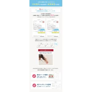 popomi ポポミ 抗菌PVCロールマット ...の詳細画像4