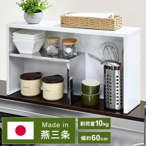 調味料ラック 手元が隠せるカウンター上収納 幅60cm （ ラック 日本製