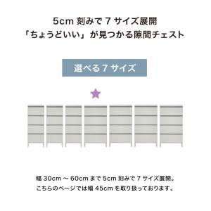 ランドリーチェスト ロータイプ 幅45cm 高...の詳細画像2