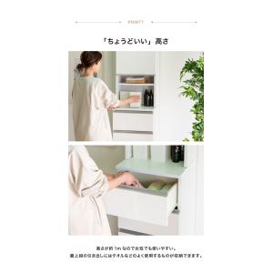 ランドリーチェスト ロータイプ 幅45cm 高...の詳細画像3