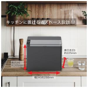 製氷機 自家製アイスメーカー 高速製氷機 最短...の詳細画像4