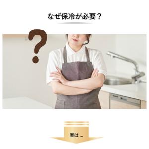 米びつ 保冷米びつ ライスクーラー 31kg ...の詳細画像3