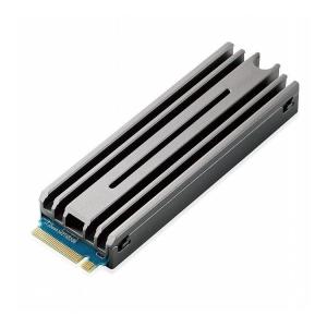 SSD 内蔵 2TB M.2 2280 PCIe Gen4.0 x4 PS5 PlayStation5 専用 ヒートシンク付き 放熱 PS5取付用ドライバー付き NVMe 1.4 簡単取付WEBマニュアル 代引不可｜recommendo