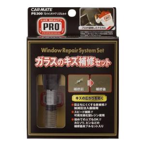 カーメイト 車用 プロ ウインドリペアシステムセット PS300