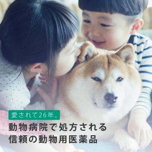 【動物用医薬品】 【3個セット】 フロントライ...の詳細画像4