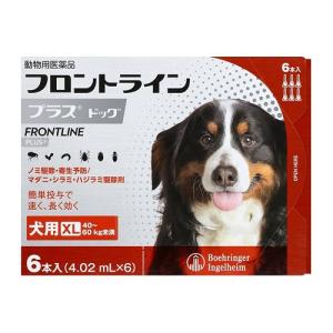 【動物用医薬品】 フロントライン 犬用 XL 40〜60kg未満 6本入 ノミ ダニ 駆除剤 フロントラインプラスドッグ