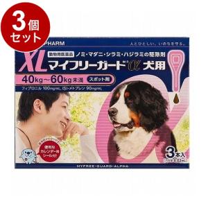 動物用医薬品 3個セット ささえあ製薬 マイフリーガードα 犬用 XL 40~60kg未満 3本入