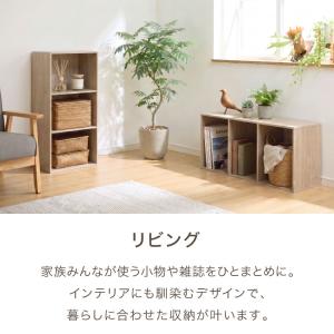 カラーボックス 3段 可動棚 A4 テレビ台 ...の詳細画像3