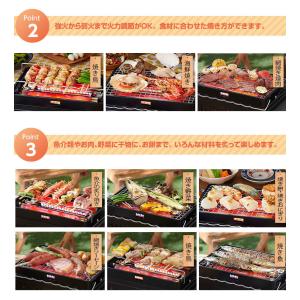 iwatani イワタニ 岩谷産業 カセットガ...の詳細画像4