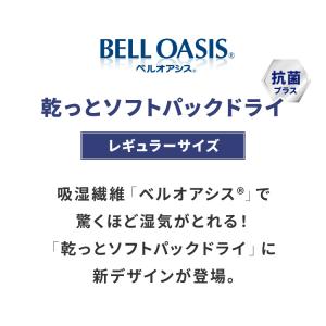 12個セット テイジン 除湿剤 除湿・消臭 乾...の詳細画像1