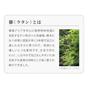 天然籐リクライニングチェア 完成品 マガジンラ...の詳細画像5