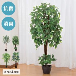 神戸花物語 フェイクグリーン 観葉植物 人工観葉 大型 光触媒 エコ