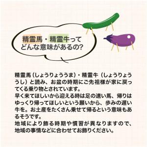 瀬戸焼 日本製 盆提灯精霊馬揃え お盆 提灯 ...の詳細画像2