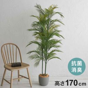 フェイクグリーン アレカヤシ 約170cm 抗菌 消臭 観葉植物 フェイク 光触媒 人工観葉植物 インテリア おしゃれ 鉢 植木 葉 枝 木 室内 玄関 リビング 代引不可｜recommendo