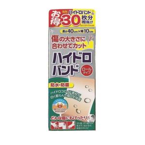 単品3個セット ハイドロバンドロールタイプ N 株 サイキョウ・ファーマ 代引不可｜recommendo