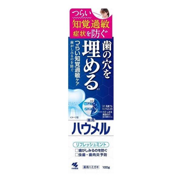 単品6個セット 小林製薬 ハウメル 100G 歯磨き 代引不可