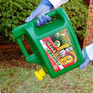 単品2個セット アースカマイラズ草消滅4.5L アース製薬株式会社 代引不可
