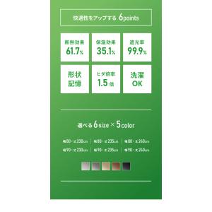 節電のれん 間仕切り カーテン 高断熱 高密閉...の詳細画像5