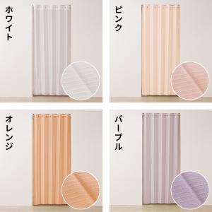 間仕切りカーテン フリーカット 幅100cm ...の詳細画像1