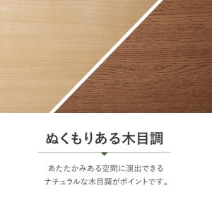 日本製 棚板が外せて洗える シューズラック シ...の詳細画像2