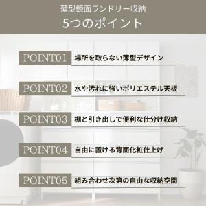 日本製 鏡面仕上げの高級ランドリーチェスト チ...の詳細画像5