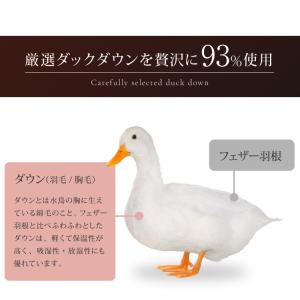 日本製 羽毛ふとん 羽毛増量 シングル 1.3...の詳細画像4