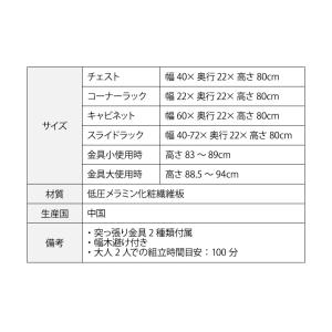 カウンター下収納 4点セット 薄型 ミニ キャ...の詳細画像5