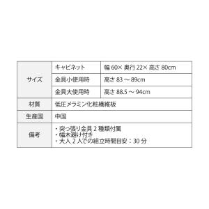 カウンター下収納 薄型 ミニ キャビネット 両...の詳細画像5