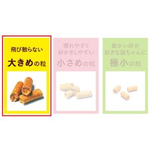 2個セット エステー ニャンとも清潔トイレ 脱...の詳細画像2