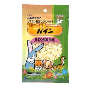 スドー フルーツ王国パイン80G 小動物用｜recommendo