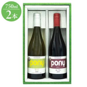 ワインセット シャトー勝沼×ニッポンエール コラボ 日本の葡萄酒 赤白