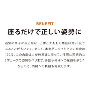 【正規品 3年保証】 balans バランスチ...の詳細画像4