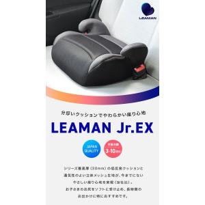 リーマン ジュニアEX ジュニアシート ブラッ...の詳細画像1