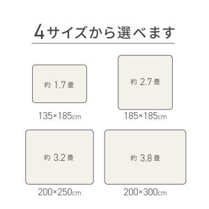 洗えるラグマット 200×300cm 長方形 ...の詳細画像3