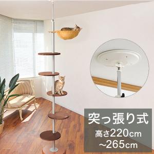ボンビアルコン キャットポール 突っ張り 高さ220cm~265cm スリム キャットツリー キャットタワー 猫ツリー 猫タワー 猫用 ハンモック付