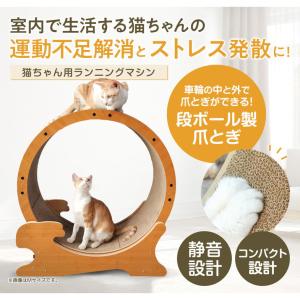 ペットプロ 猫用 キャットホイール Lサイズ ...の詳細画像1