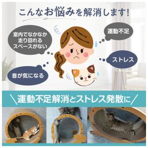 ペットプロ 猫用 キャットホイール Lサイズ ...の詳細画像2