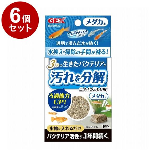 6個セット GEX ジェックス ベストバイオブロック メダカ用