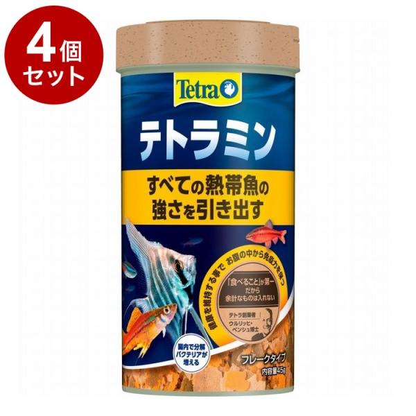 4個セット テトラミン 45g