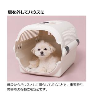 リッチェル ペット用 キャリー ケース コンテ...の詳細画像4