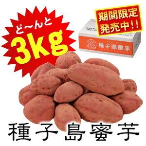 夢百笑種子島蜜芋3kg Sサイズ サツマイモ 代引不可...