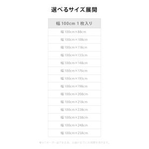 遮像 レースカーテン シルクタッチ 幅100 ...の詳細画像2