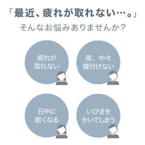 抱き枕 日本製 テイジン製中綿使用 ボディクッ...の詳細画像2