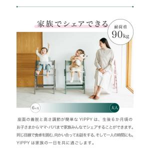 レビュー報告で専用クッション セット販売 mo...の詳細画像4