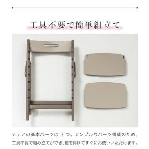 レビュー報告で専用クッション セット販売 mo...の詳細画像5